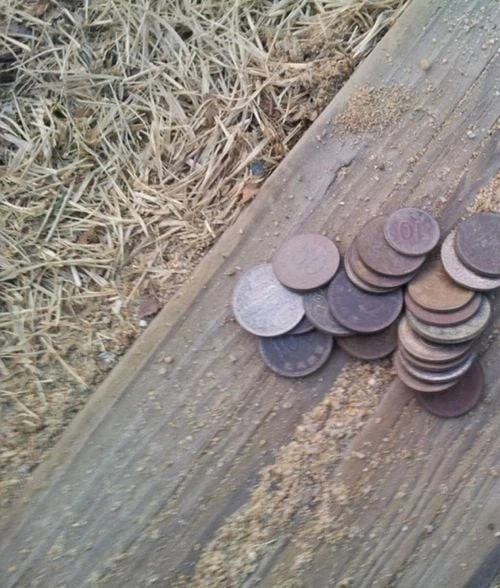 금속탐지기 구매 후기.jpg_10.webp