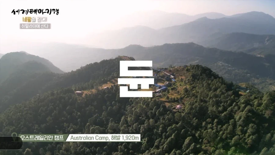 히말라야에서 먹을수 있는 음식.jpg_1.webp