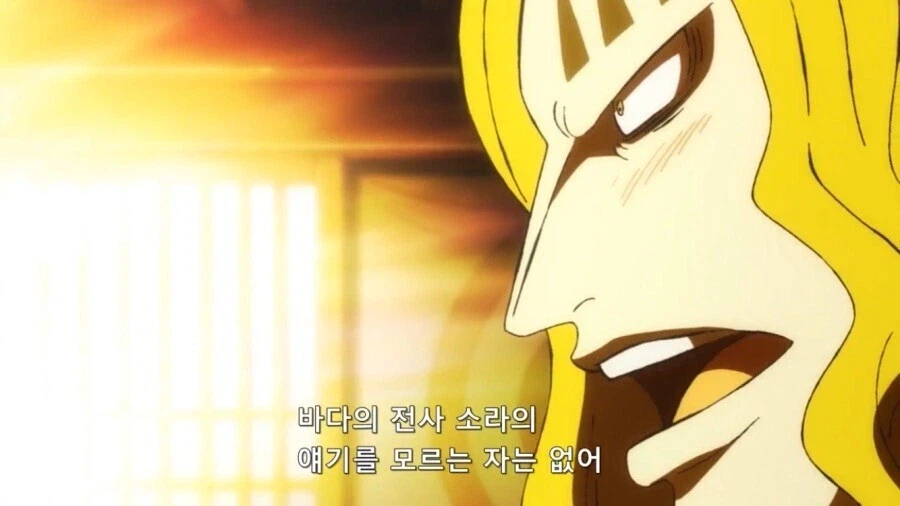 원피스 노스 블루 출신들 특징_11.webp