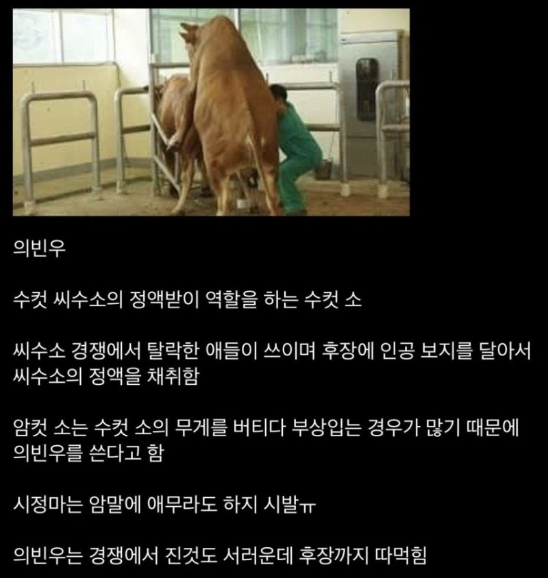 동물 취급중 가장 비참한 수컷_1.webp