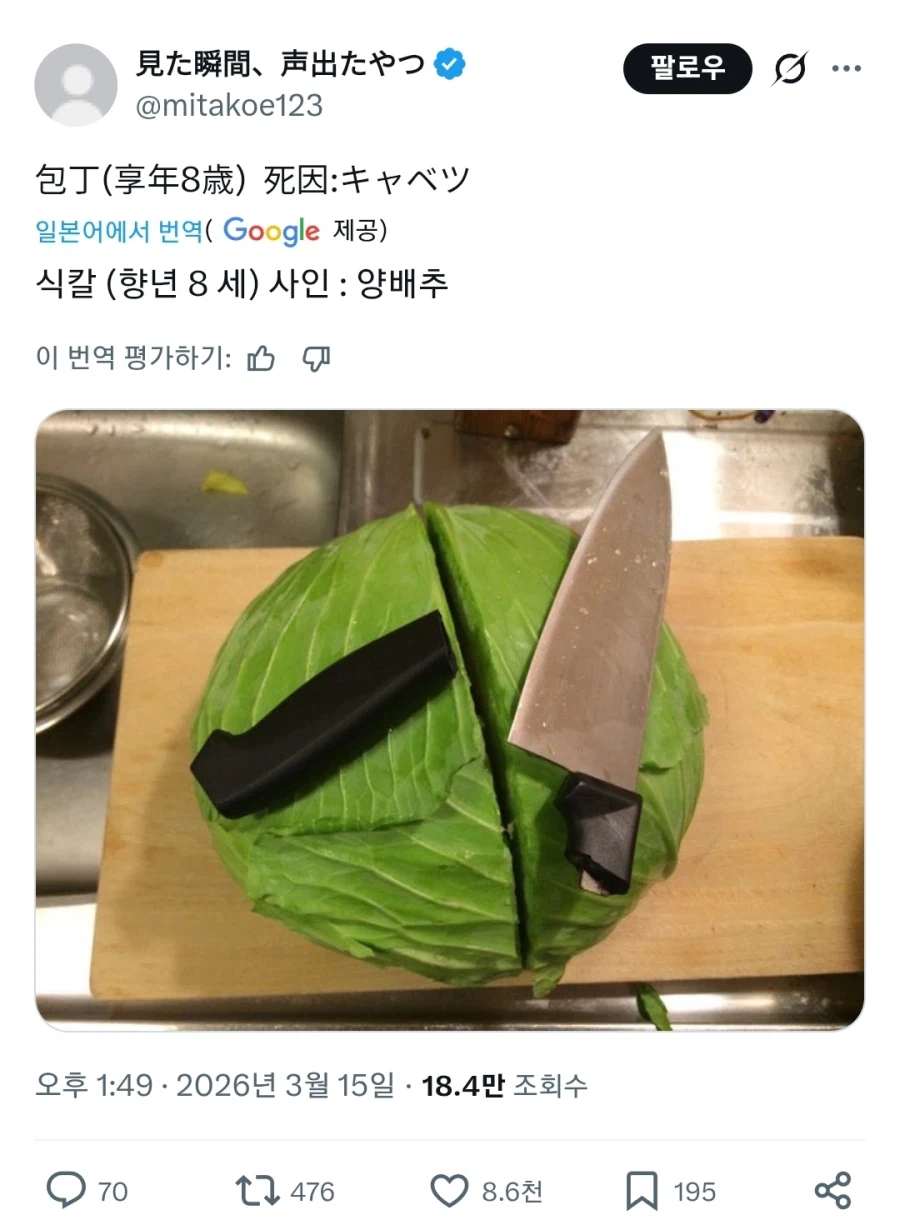 8년차 식칼 : 아아, 좋은 인생이였다._1.webp