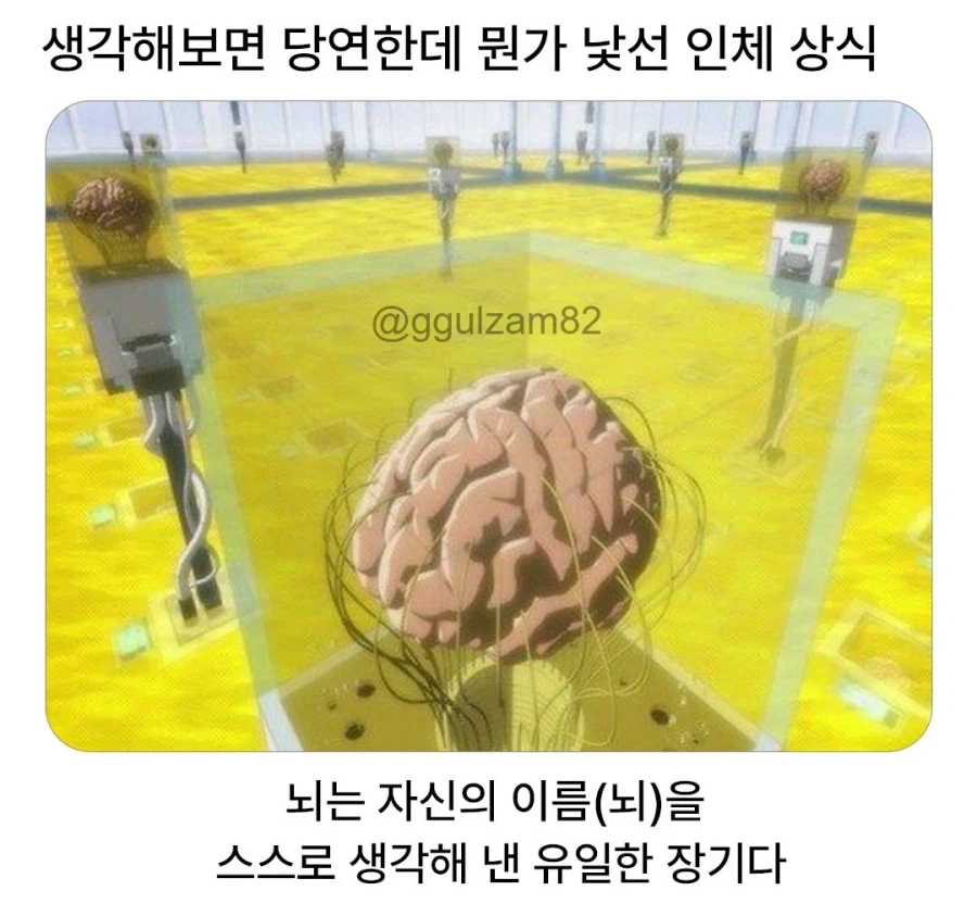 생각해보면 당연한데 뭔가 낯선 인체 상식.jpg_1.webp