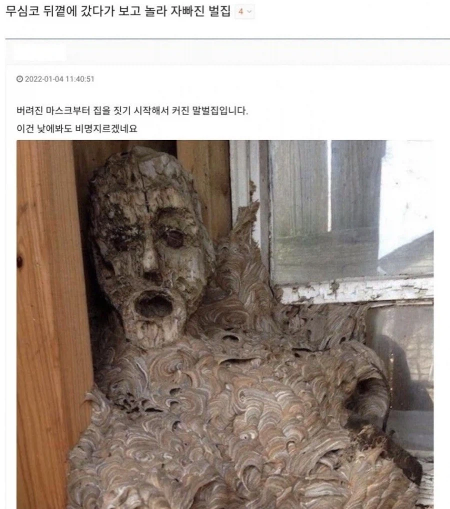 무심코 보고 놀라 자빠진 벌집.jpg_1.webp