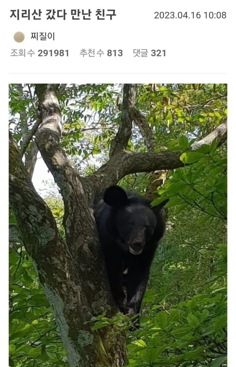 일본에서 발생한 일은 조만간 한국에서도 발생한다_1.webp