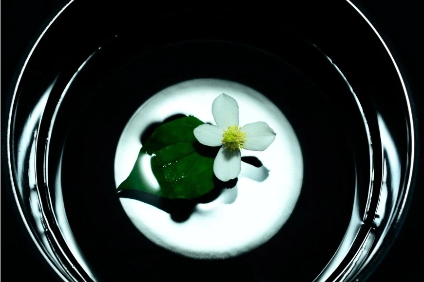 경화수월의 뜻_1.webp