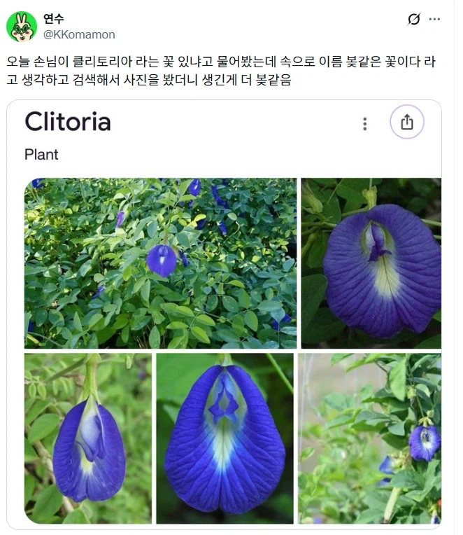 거시기처럼 생긴 꽃.jpg_1.webp