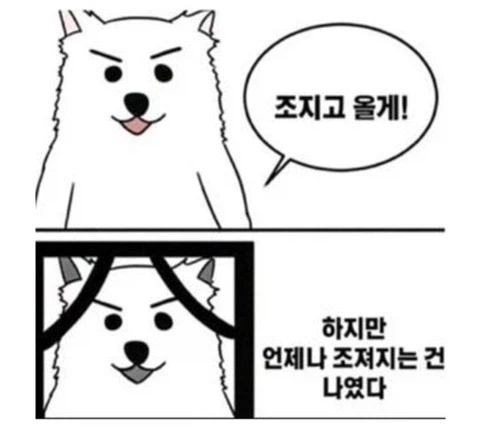 나이가 들면 슈팅/액션 계열 게임을 덜하는 이유..._1.webp