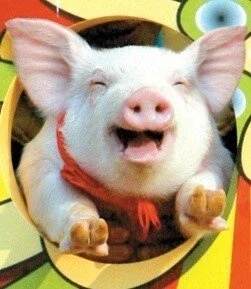 나 셀카 올림_1.webp