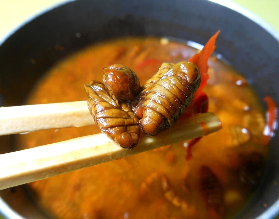 한국인도 호불호 갈리는 음식_2.webp