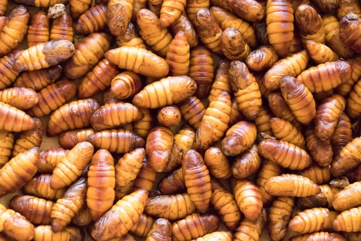 한국인도 호불호 갈리는 음식_5.webp