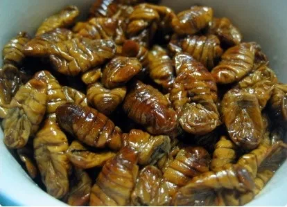 충식이 진짜 한국인한테는 허들이 낮긴함_1.webp