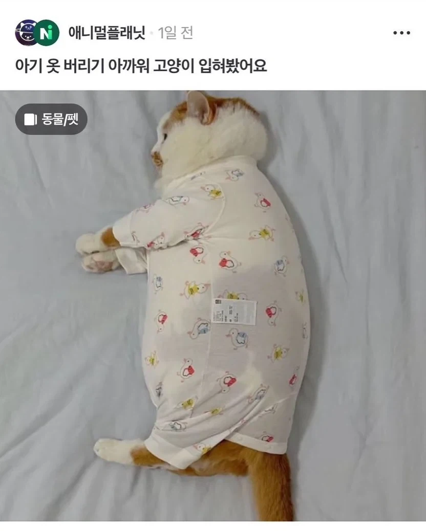 아기 옷 버리기 아까워서_6.webp