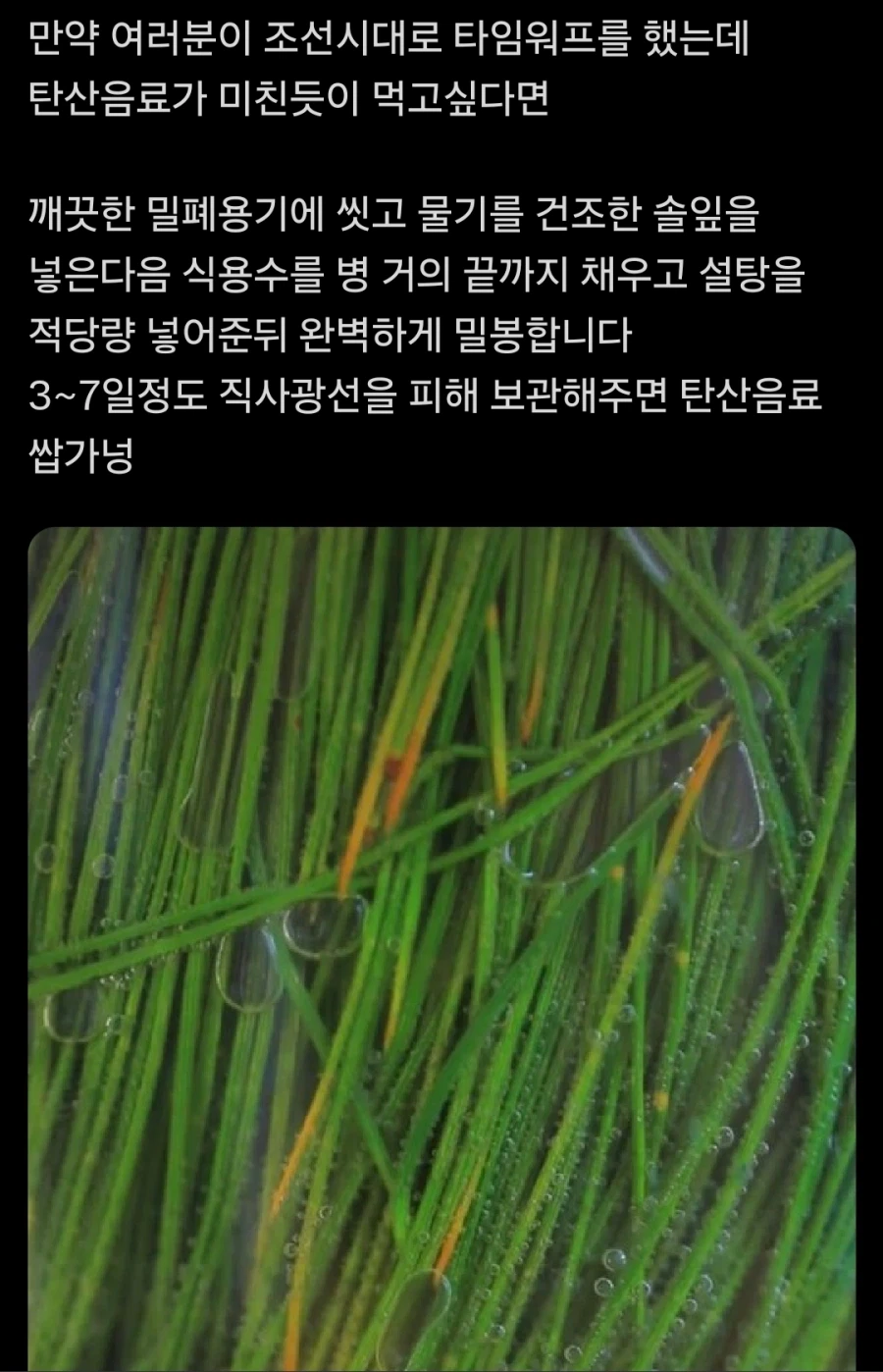 조선시대로 타임워프 했는데 탄산음료가 마시고 싶을 때 꿀팁_1.webp