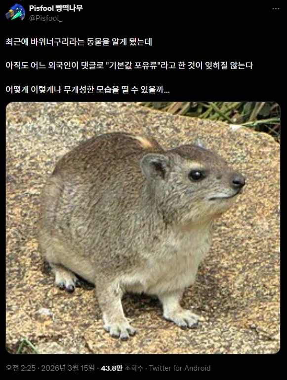 기본값 포유류_1.webp