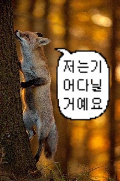 바들바들 여우짤.jpg_1.webp