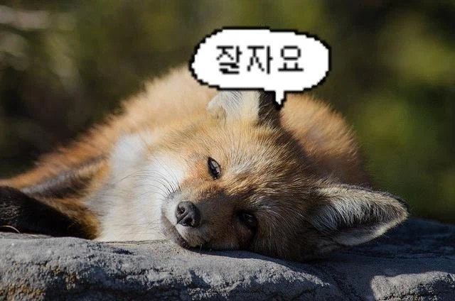 바들바들 여우짤.jpg_3.webp