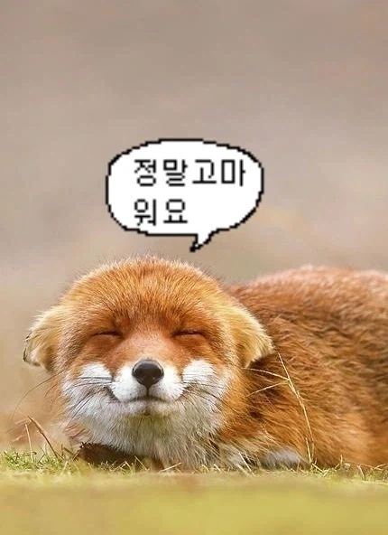 바들바들 여우짤.jpg_4.webp