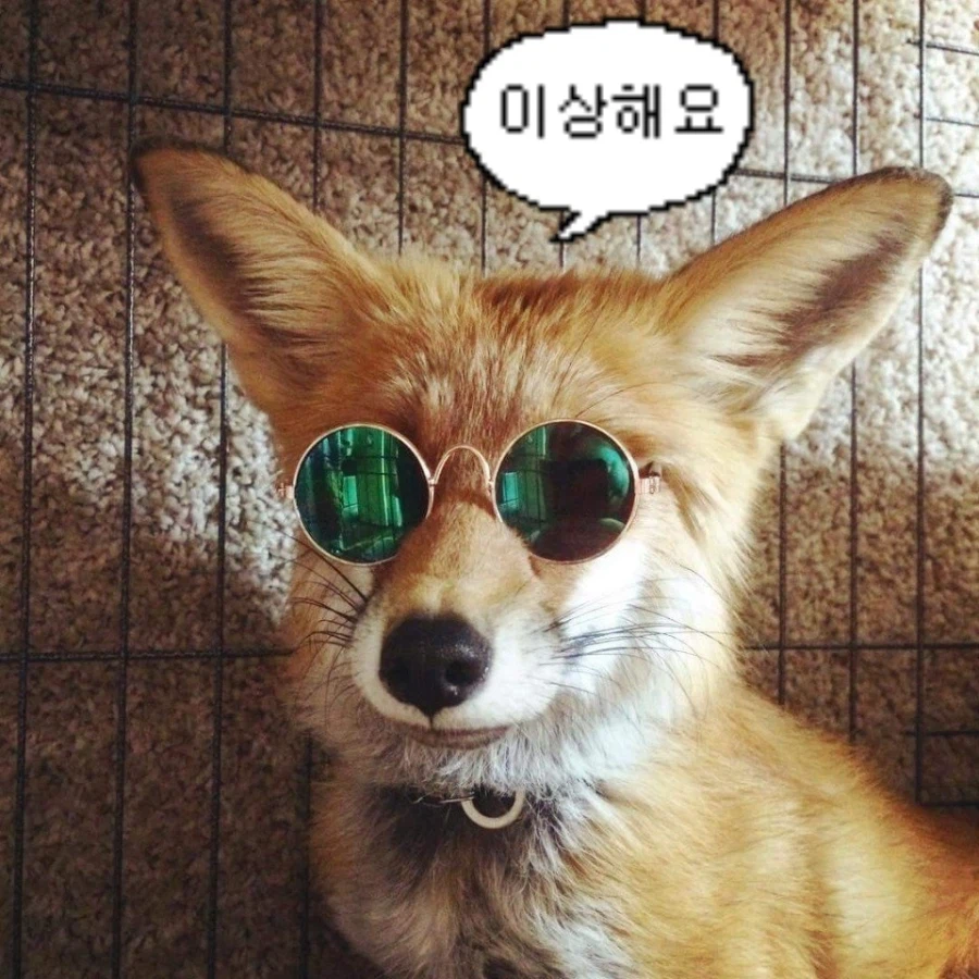 바들바들 여우짤.jpg_6.webp