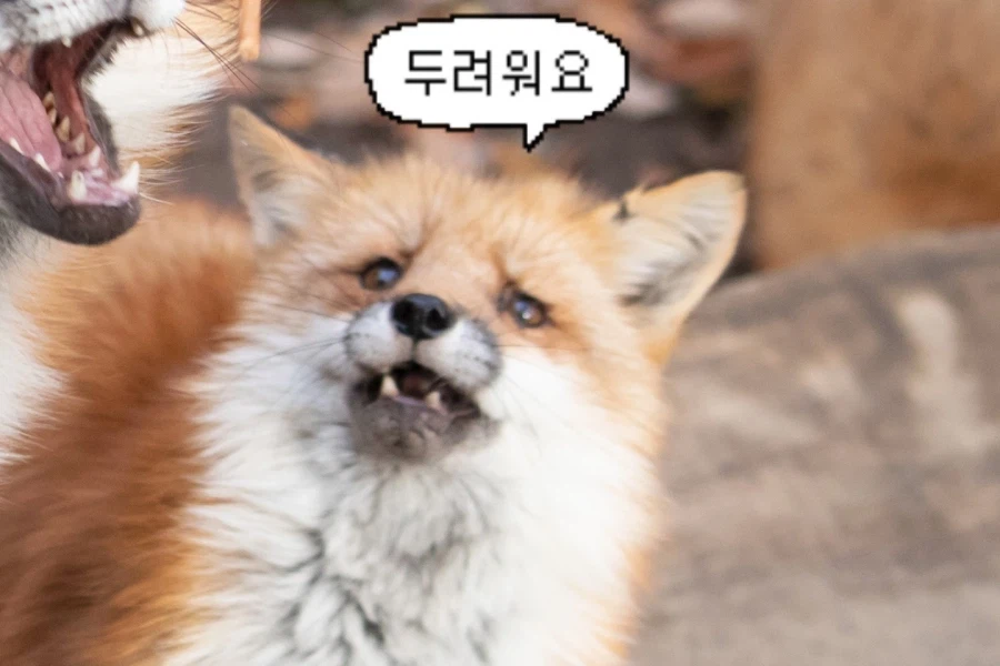 바들바들 여우짤.jpg_9.webp