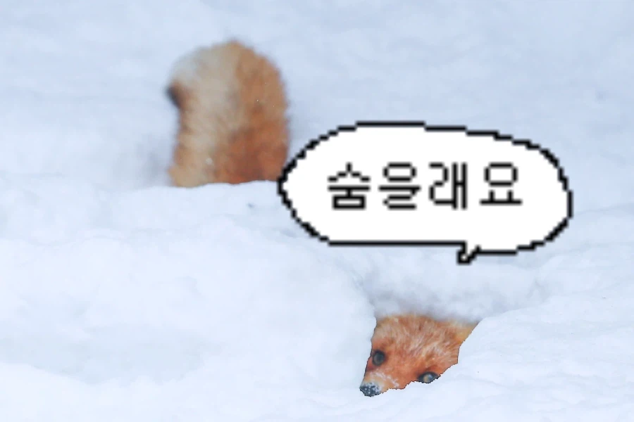 바들바들 여우짤.jpg_13.webp