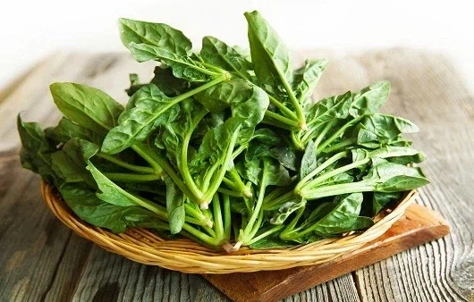 사라지고 있다는 김밥 근본 재료.jpg_2.webp