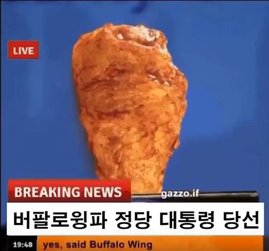 너희들은 좌익과 우익 중에 뭘 더 선호하냐?_3.webp