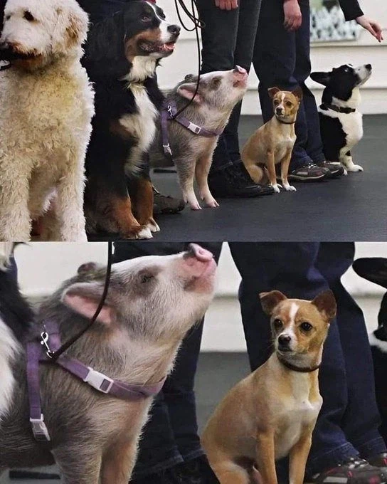 옆자리 친구의 건강이 걱정됨.jpg_1.webp