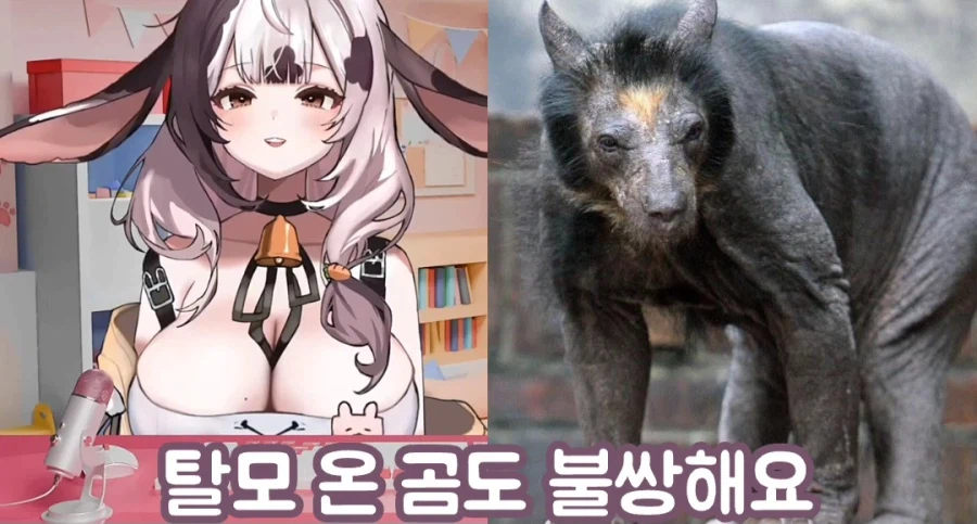 여성 방송인