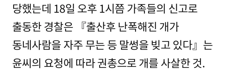 90년대 초반 사람 공격한 개 경찰 대응.jpg_2.webp