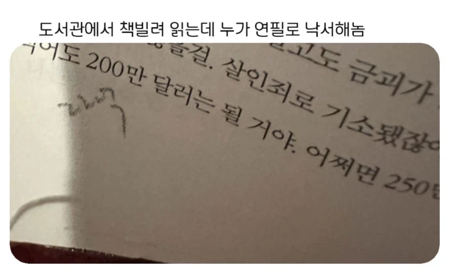 도서관 책 빌려읽는데 누가 낙서해놈.jpg_1.webp