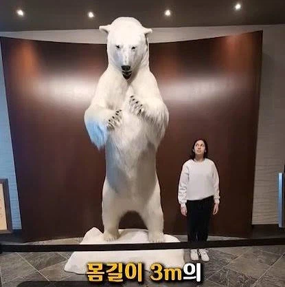 북사찢이 호들갑이 아닌 이유_2.webp