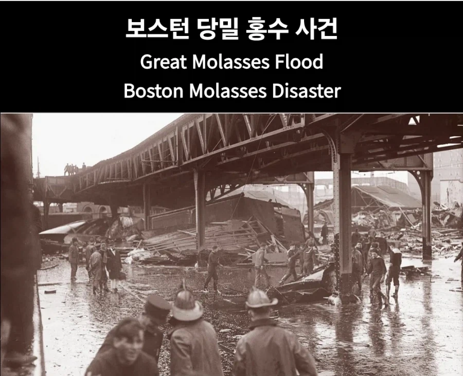 보스턴 앞바다의 정체는 사실...jpg_2.webp