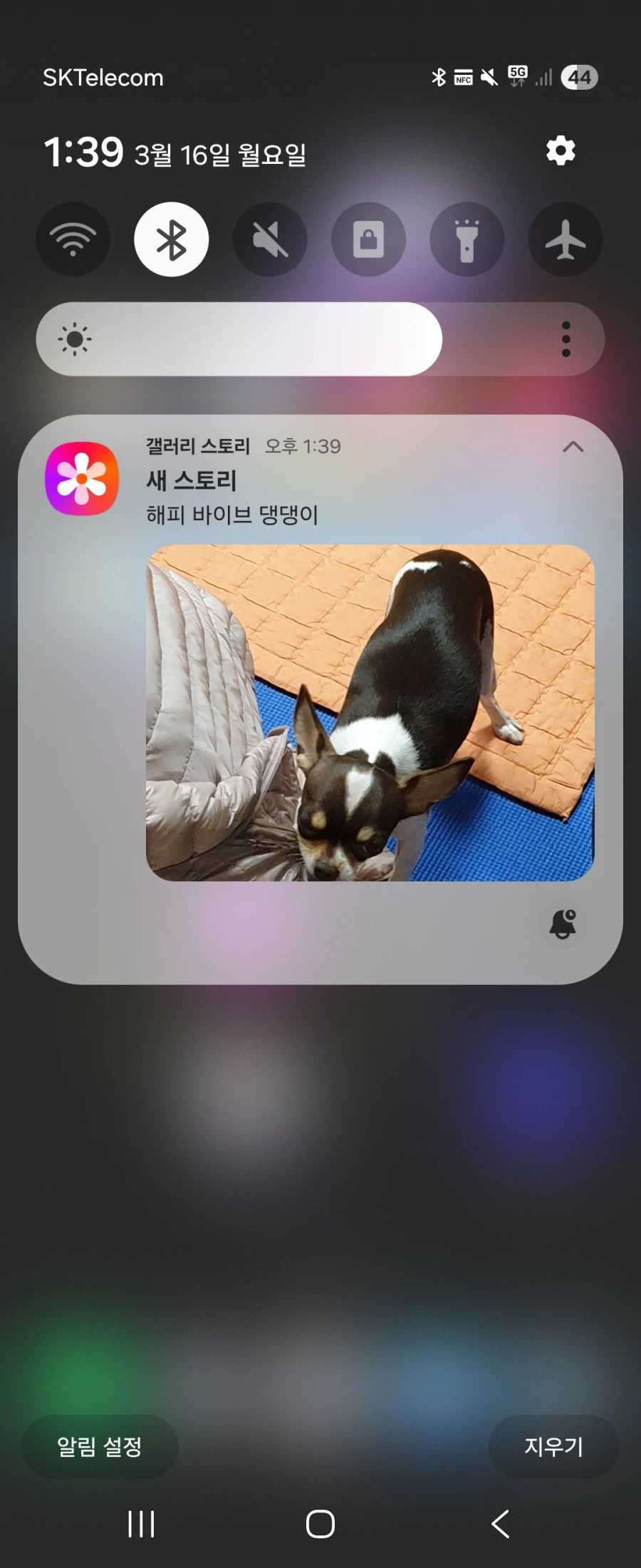 하... 갤럭시 이새끼들 사람 눈물나게하네_1.webp