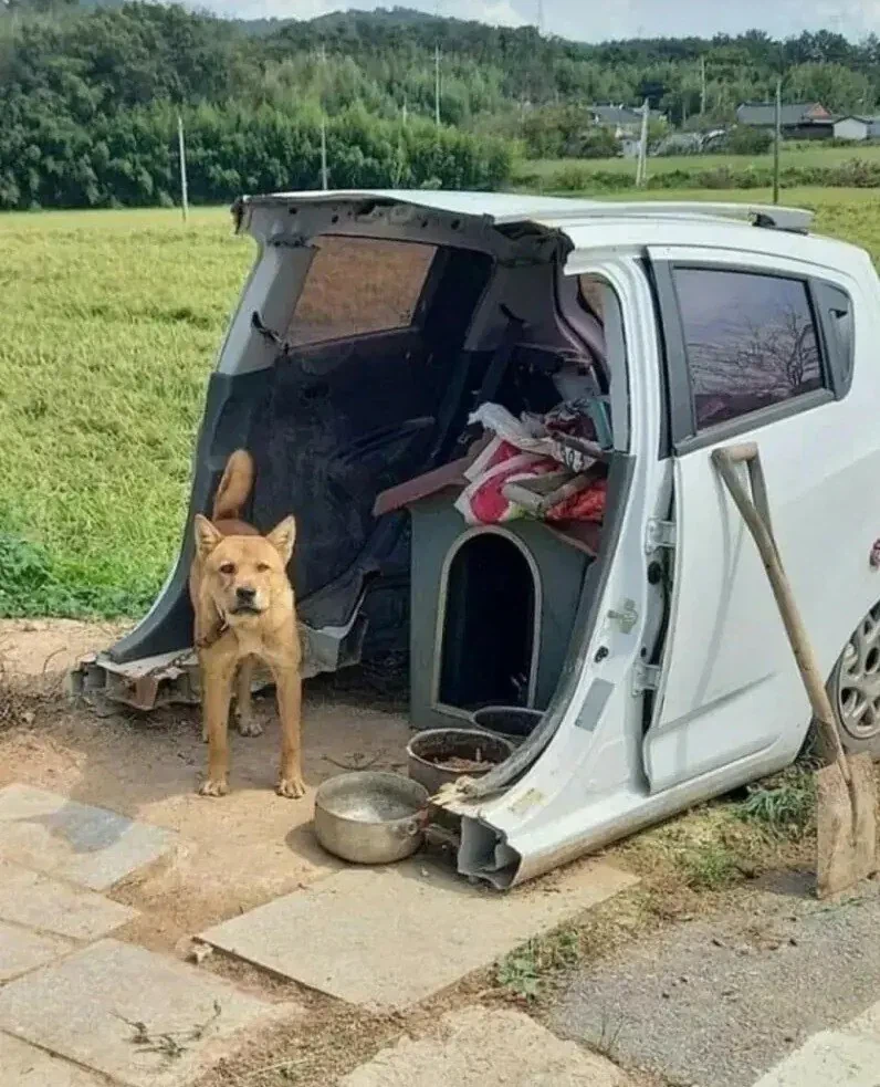 차박 동호회 영구제명 짤_1.webp