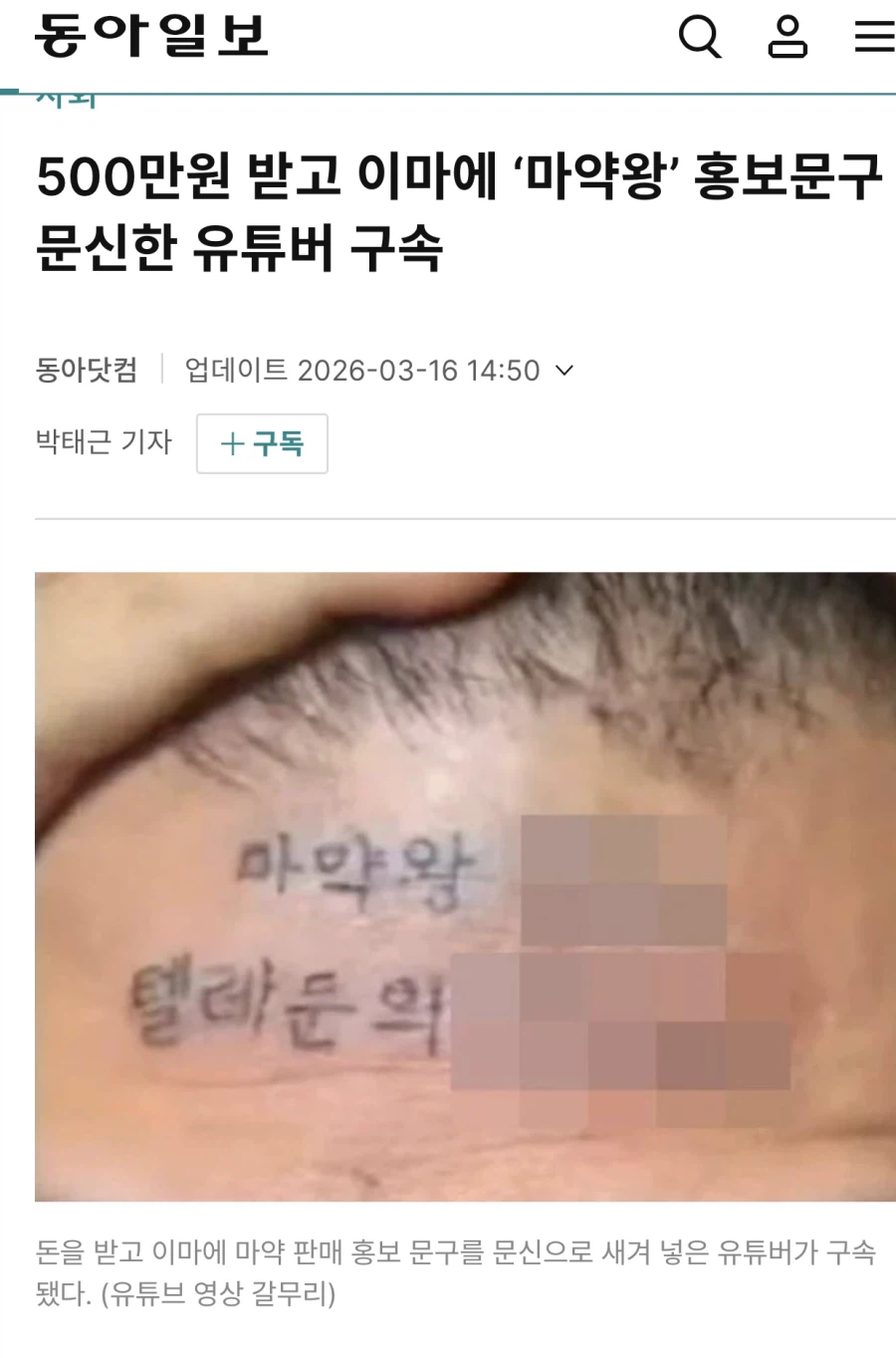 문신충 평균_1.webp