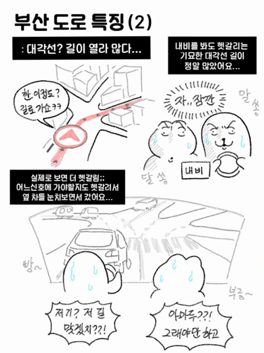 타지인이 본 부산도로 특징_2.webp