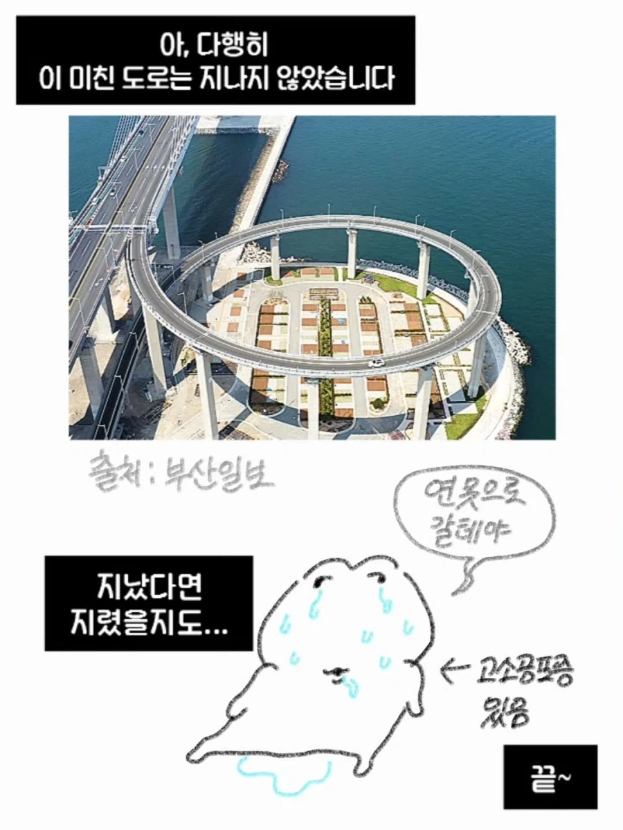 타지인이 본 부산도로 특징_6.webp
