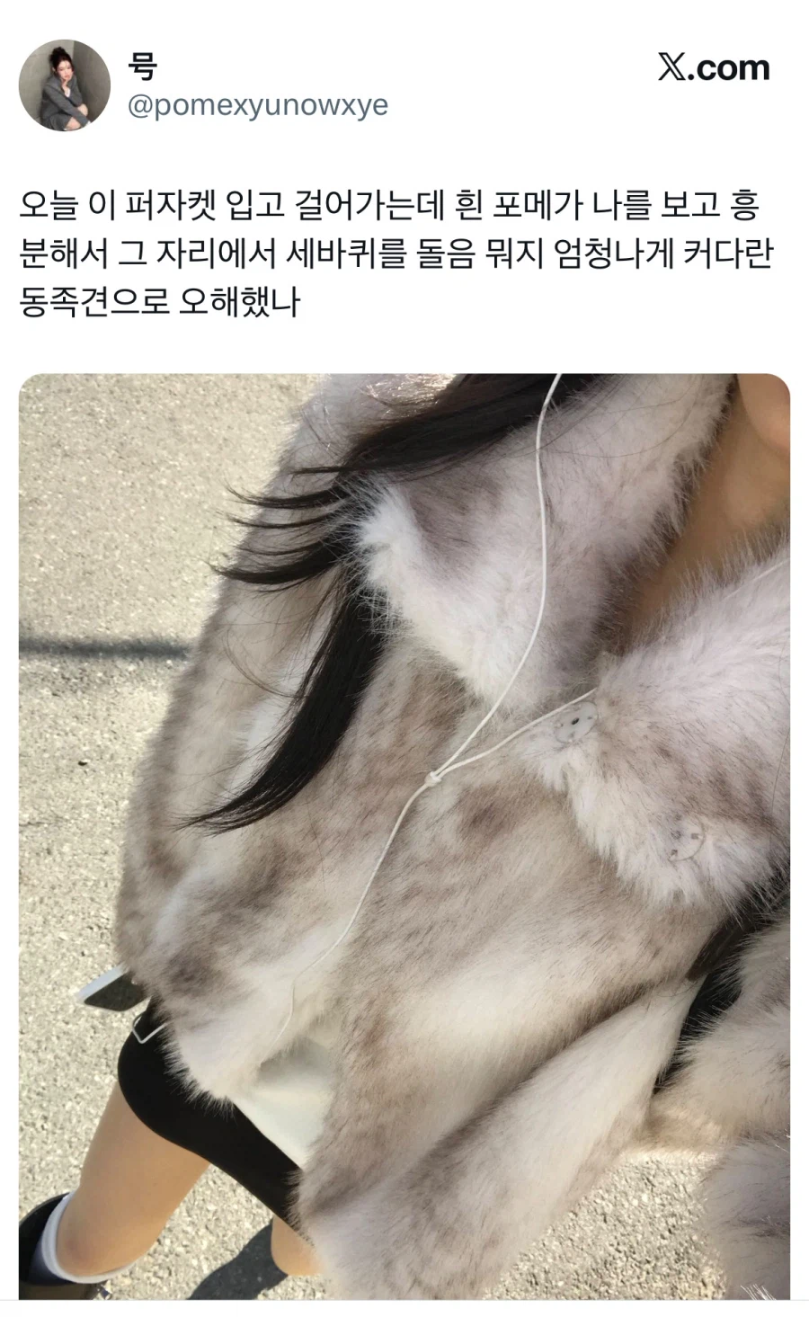 입고 다니면 첨 보는 댕댕이들에게 사랑 받는 아우터_1.webp