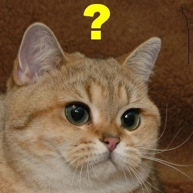 자기가 잘 생겼는지 아는 방법_1.webp