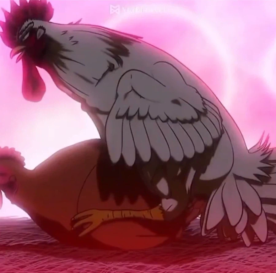 주인공이 원나잇하는 애니메이션_2.webp