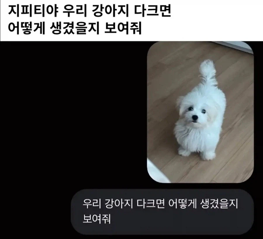 지피티야 우리 강아지 다크면 어떻게 생겼을지 보여줘_1.webp