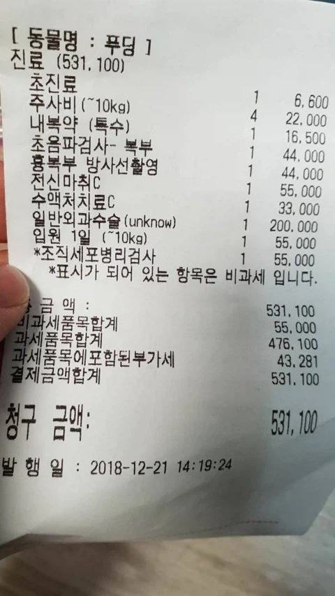 키우던 햄스터가 다쳐서 병원간 사람들._2.webp