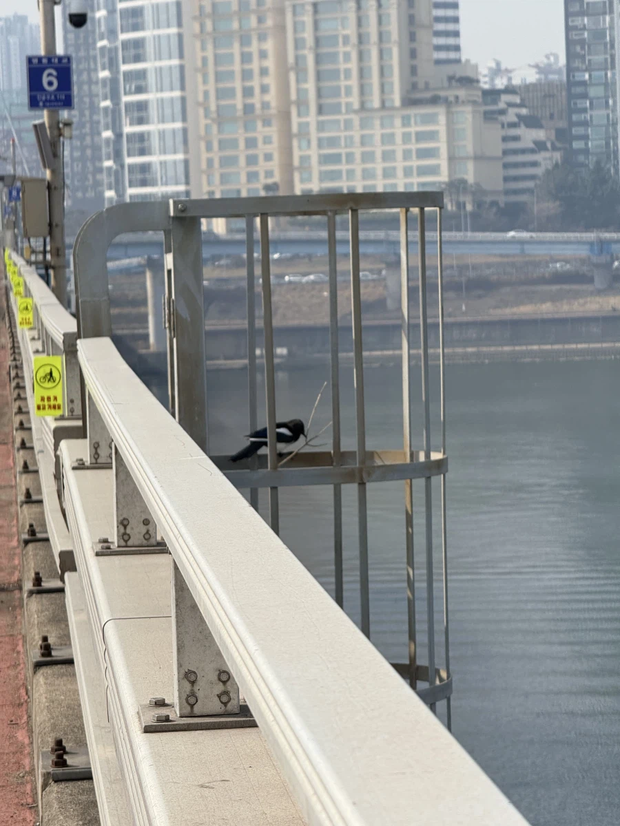 한강뷰 내 집 마련_1.webp