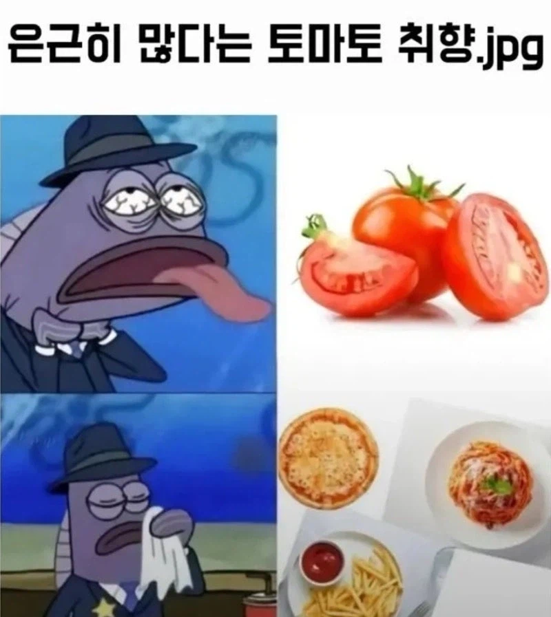 은근히 많다는 토마토 취향_1.webp