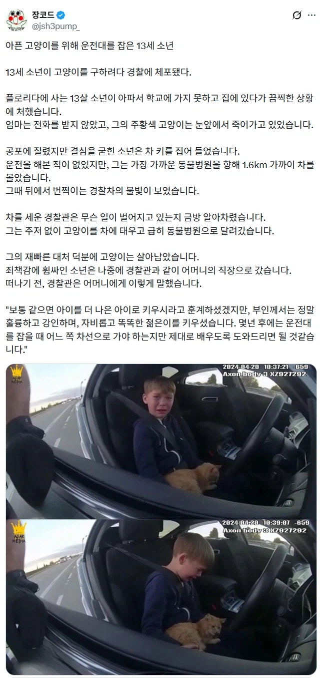 아픈 고양이를 위해 운전대를 잡은 13세 소년.jpg_1.webp