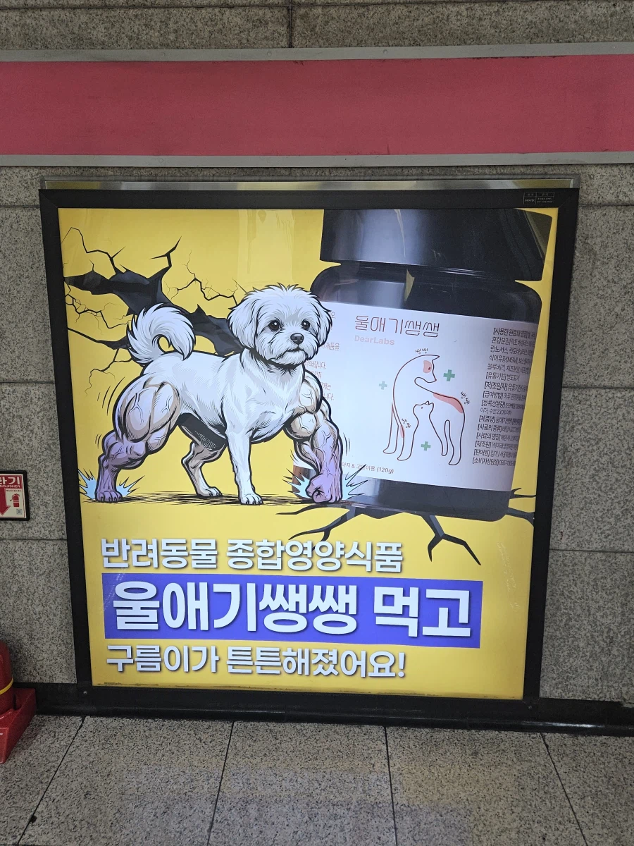 효과가 너무 좋은 동물영양제_1.webp