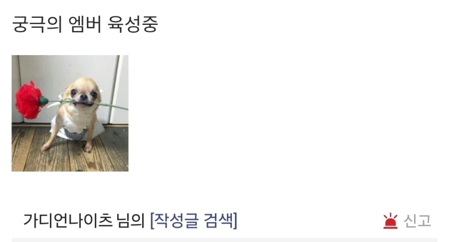 엔드필드) 진짜 광기의 메인딜러 ㅅㅂ ㅋㅋㅋㅋㅋㅋㅋ_2.webp