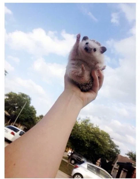 한국 연구팀, 물리교과서 뒤집는