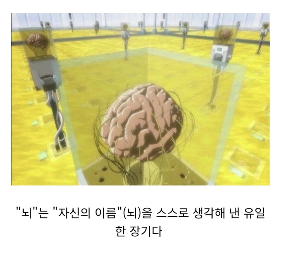 충격적인 사실 알려준다_1.webp