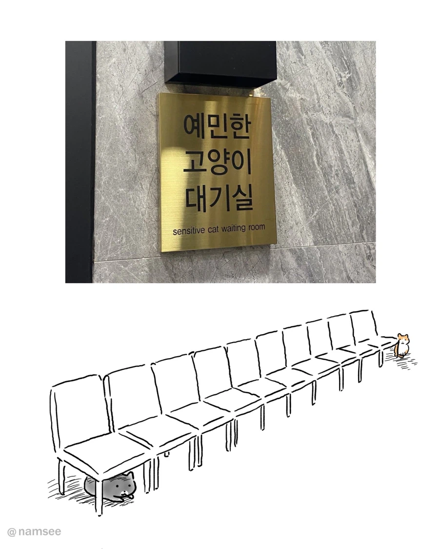 내향적인 강아지 대기실_2.webp